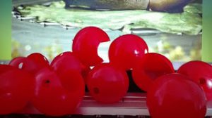 Narices de clown